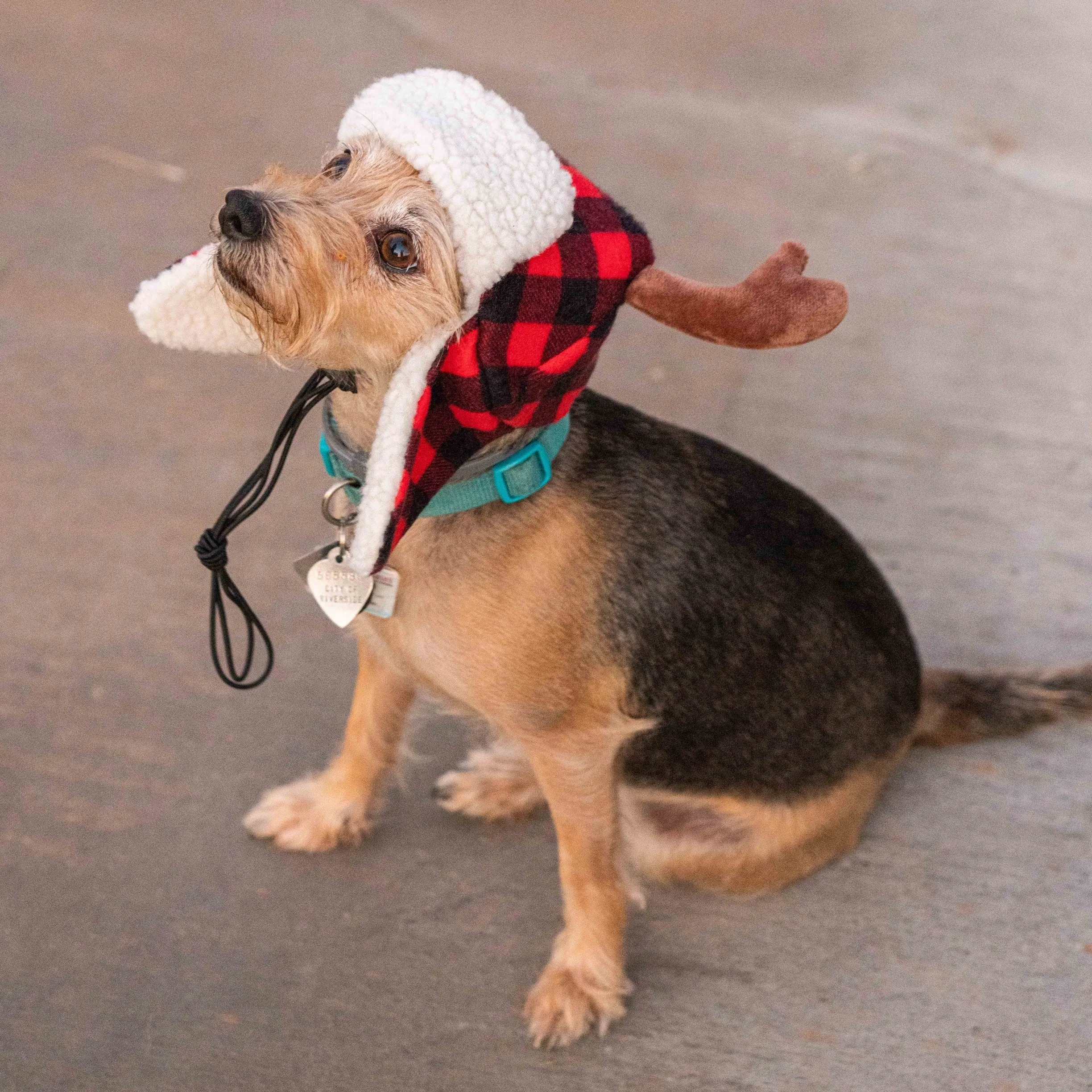 Buffalo Check Antler Hat with SnugFit®